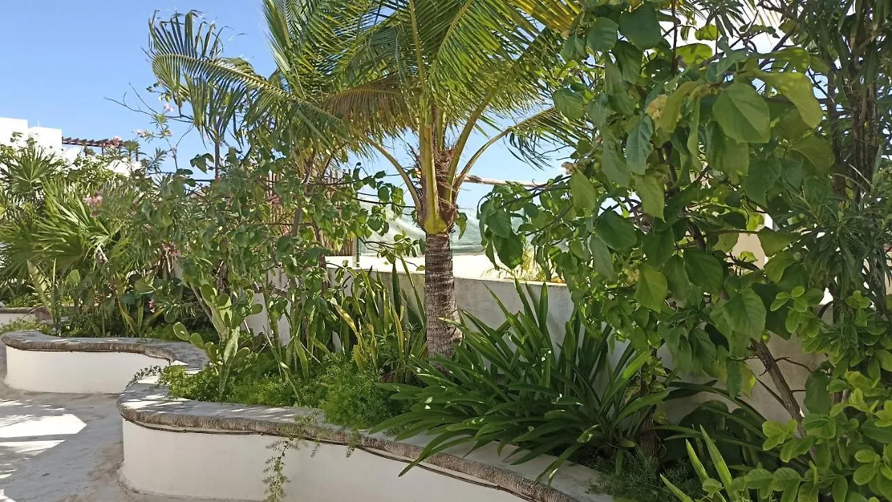 Encanto Riviera Luxury Apartments Playa del Carmen México